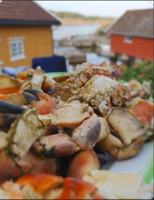 Lunvig - A Cosy Cottage In Idyllic Small Island Near Kristiansand, Sogne 외부 사진